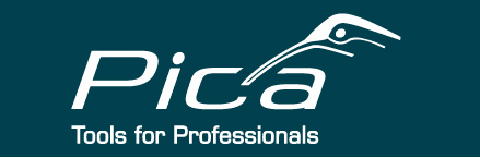 Pica