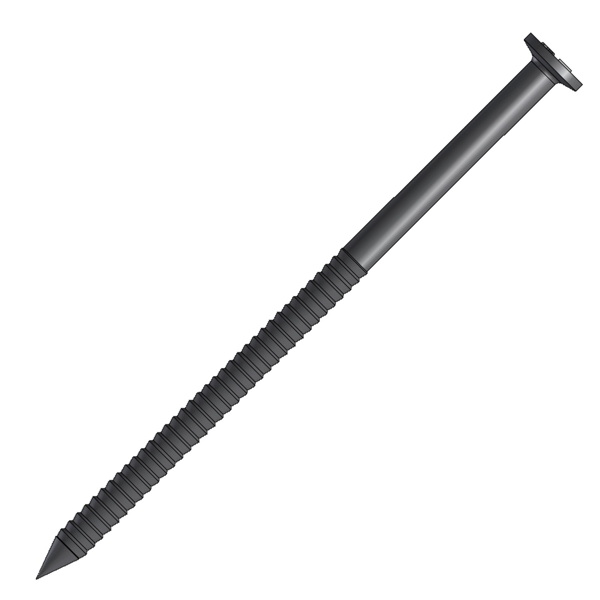 Drakena Sparrennägel