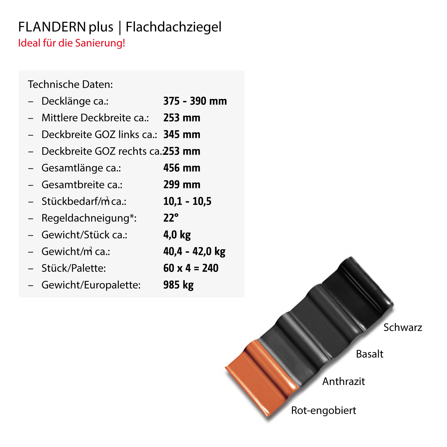 Röben Flandern plus Flächenziegel schwarz