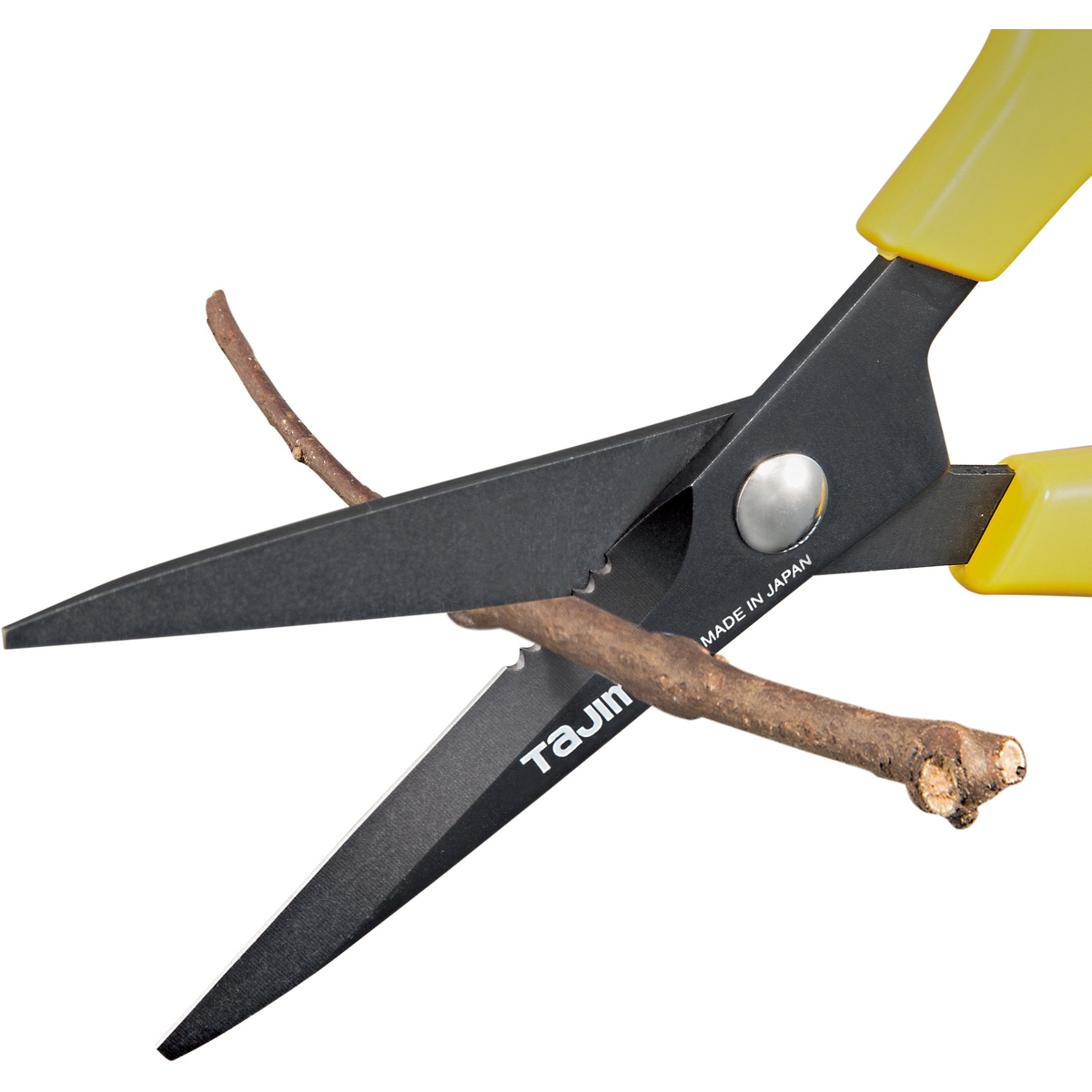 Tajima Clipper Schere 175 mm Fluoro Coat - 1 Stk.