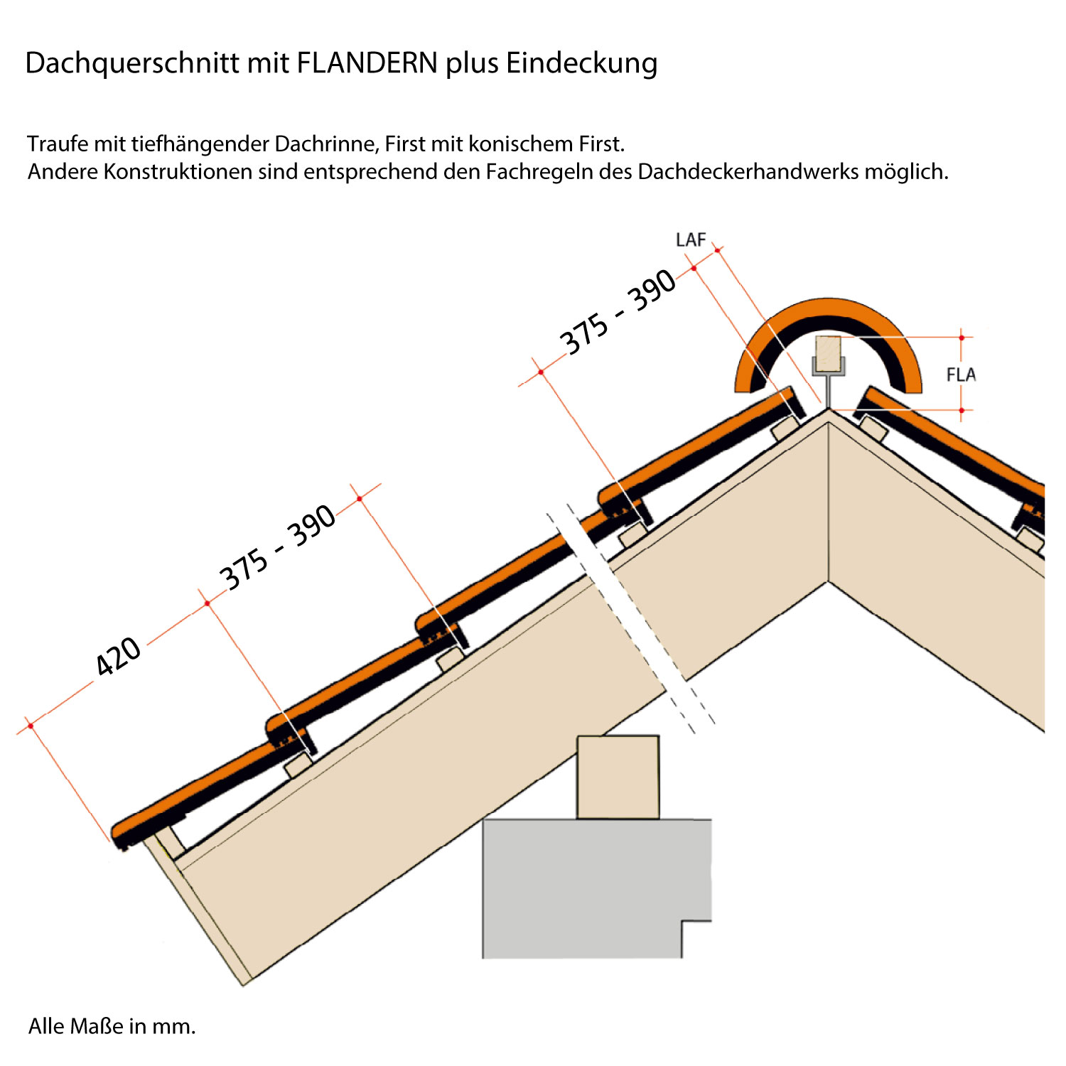 Röben Flandern plus Flächenziegel schwarz