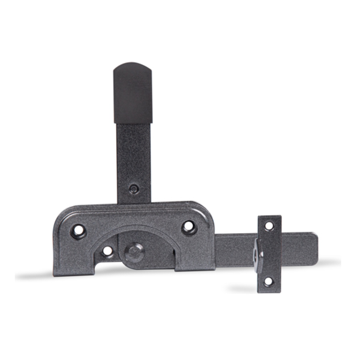 Alberts DURAVIS® Gartentorfalle für schmale Hölzer, schwarzdiamant 120 x 50 mm Alberts DURAVIS® Gartentorfalle für schmale Hölzer, schwarzdiamant 120 x 50 mm