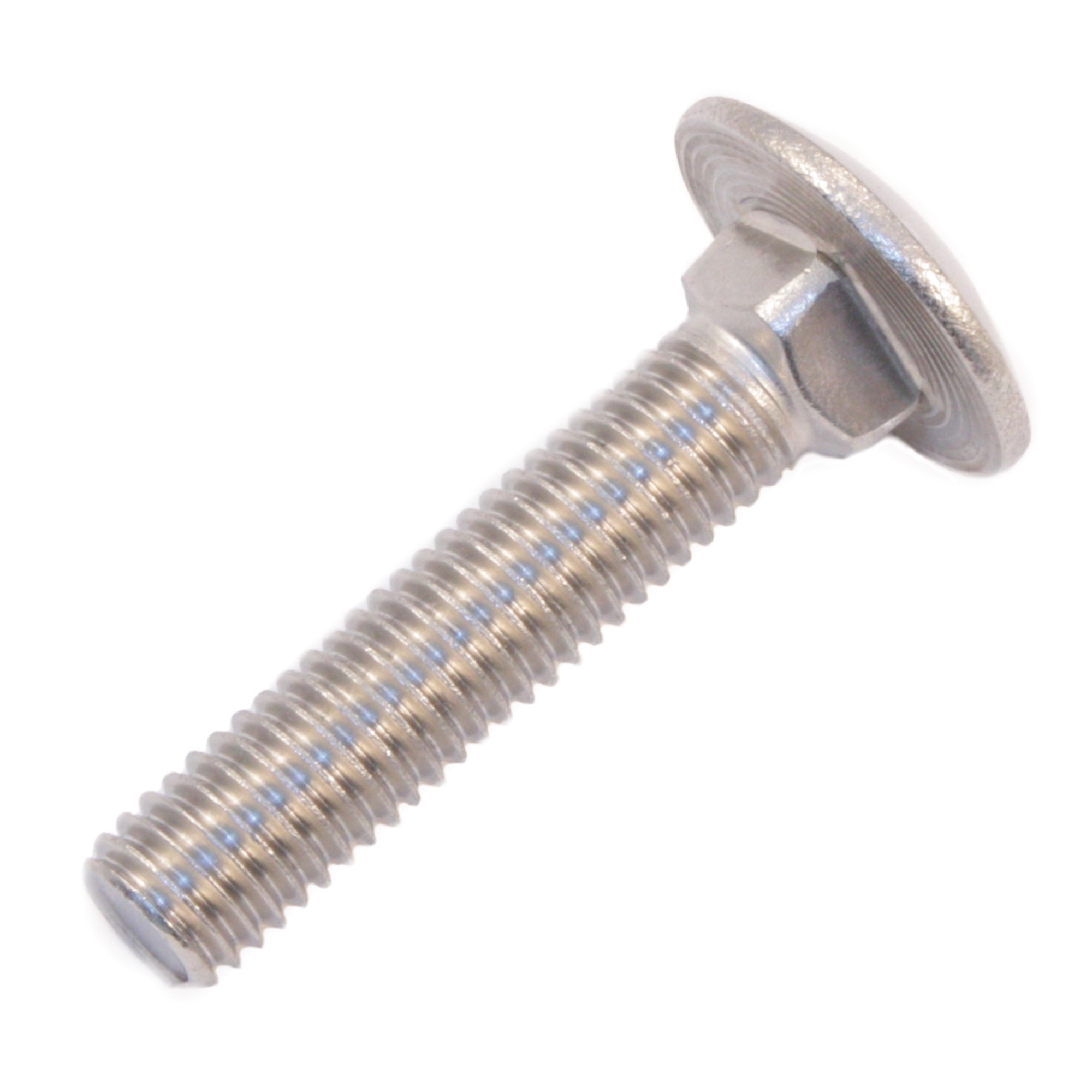 Flachrundschraube M6 x 30 mm DIN 603 Edelstahl Edelstahl Edelstahl A2, mit Vierkantansatz Flachrundschraube M6 x 30 mm DIN 603 Edelstahl Edelstahl Edelstahl A2, mit Vierkantansatz