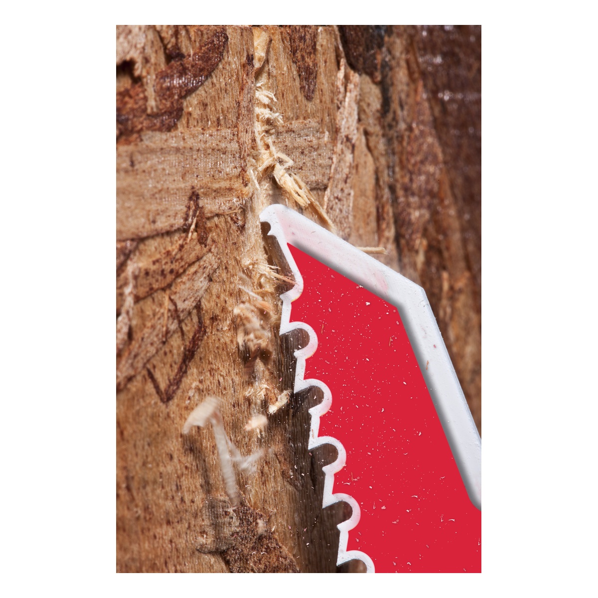 Milwaukee Säbelsägeblatt Demontage THE AX 300 x 5 mm (5 TPI) - 5 Stk.
